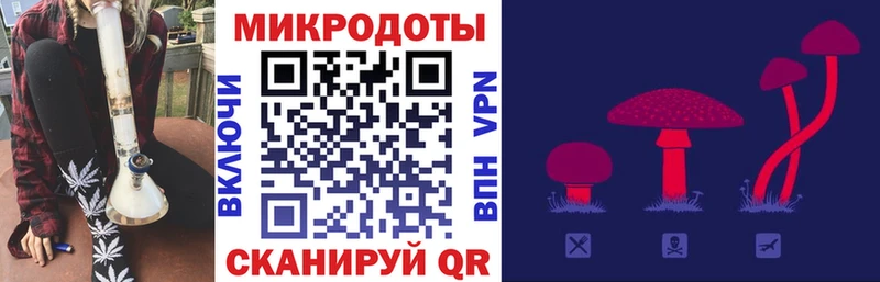 закладки  Сегежа  Псилоцибиновые грибы мицелий 