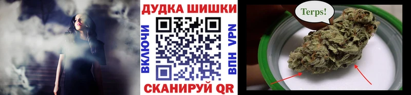 Каннабис план  Сегежа 